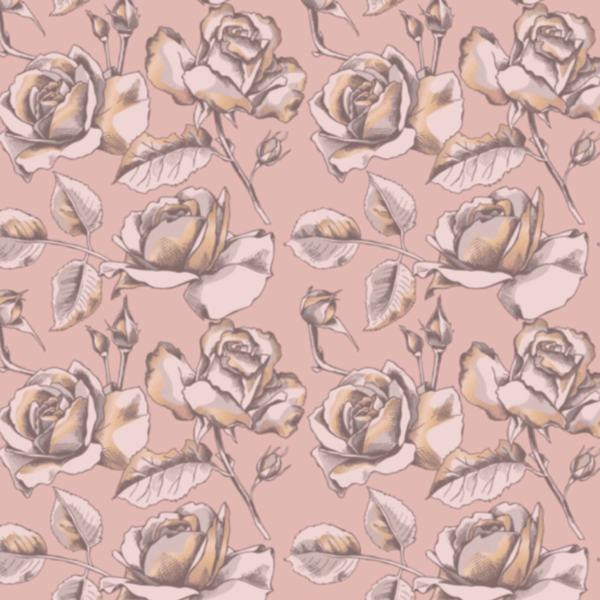 Meet Juliet Rose • Juliet Rose